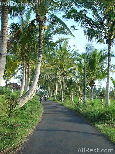 ALiLa Manggis boutique 8